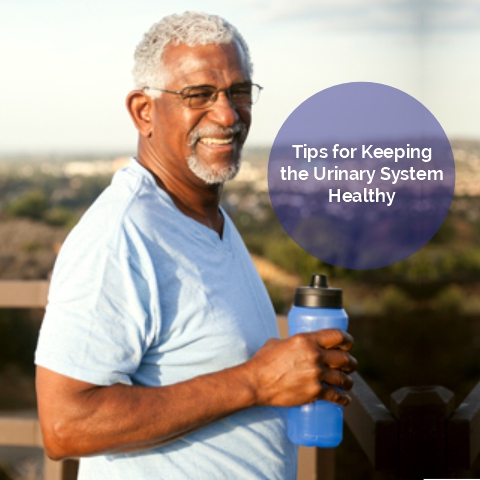 Tips for Keeping the Urinary System Healthy